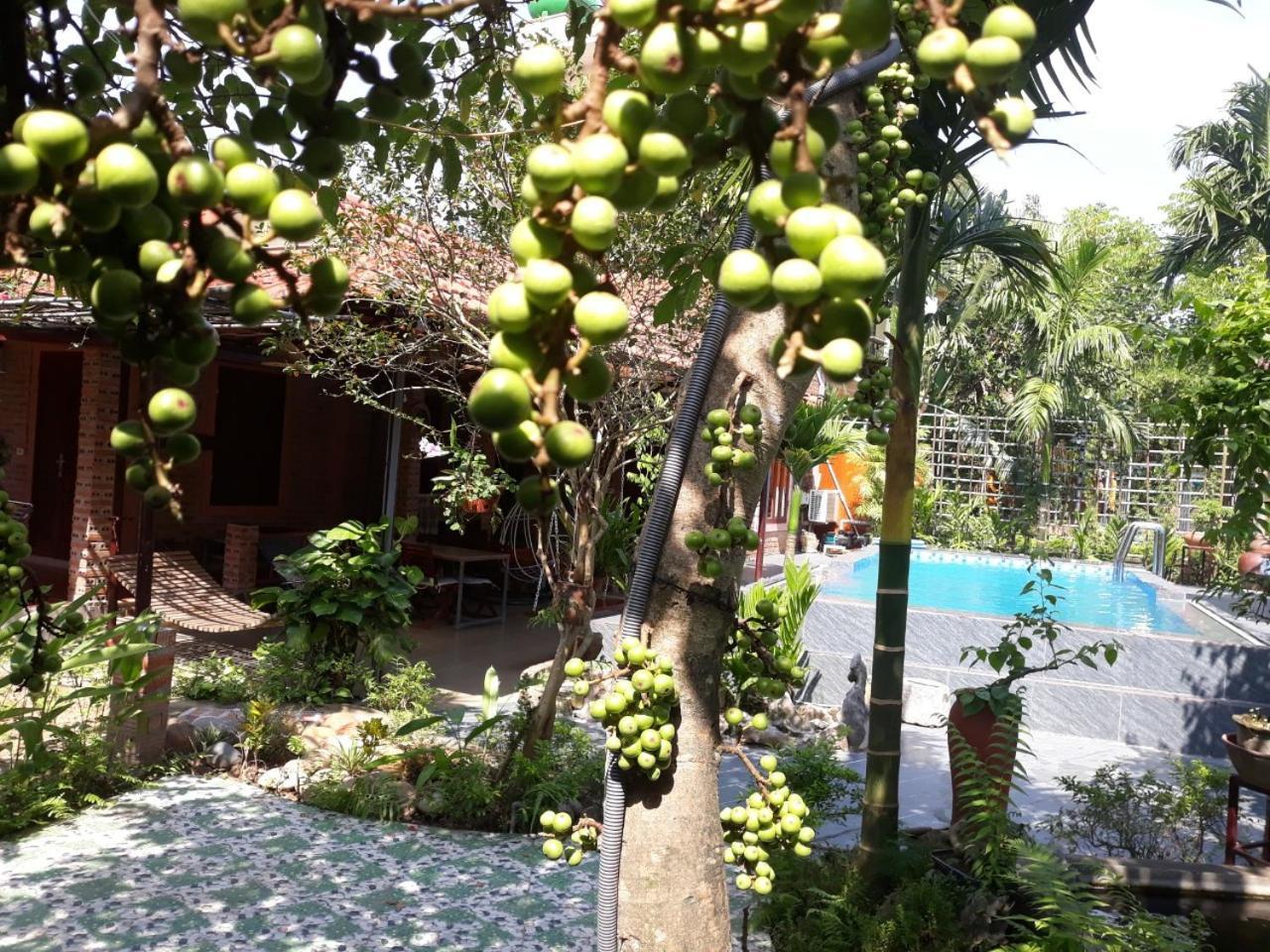 An Phu Homestay Ninh Binh Eksteriør bilde