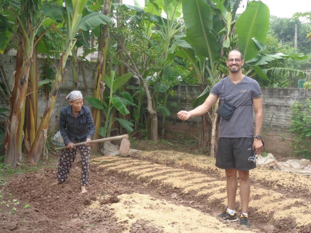 An Phu Homestay Ninh Binh Eksteriør bilde