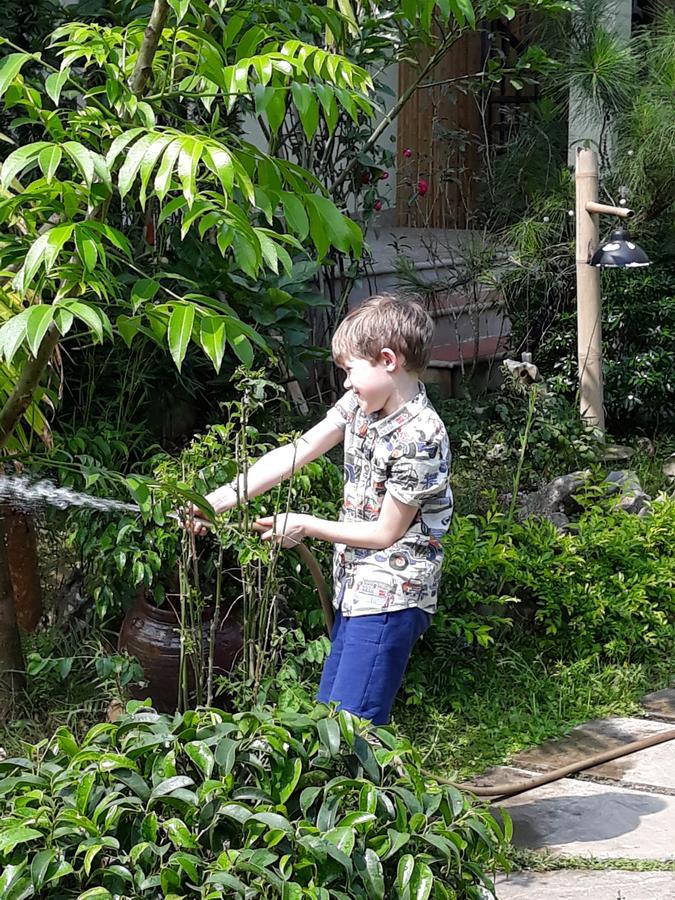 An Phu Homestay Ninh Binh Eksteriør bilde