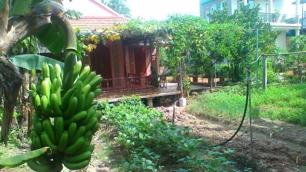 An Phu Homestay Ninh Binh Eksteriør bilde